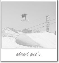 shred pic's_dummy